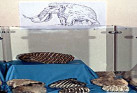Börzsöny Közérdekű Muzeális Gyűjtemény – 5. kép