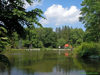 Zirci Arborétum – 2. kép
