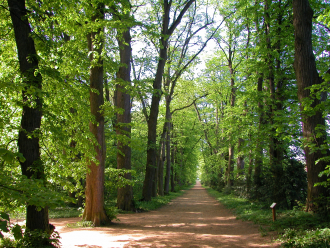 Zirci Arborétum – 4. kép