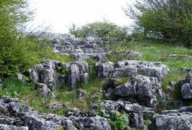 Eperjes tanösvény – 2. kép
