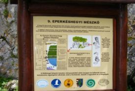 Eperjes tanösvény – 5. kép