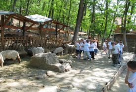 Seholsziget Élménypark – 3. kép