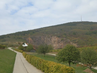 Szőlő tanösvény – 2. kép