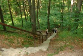 Kőszikla-szurdok