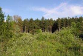 Dalerd Zrt. Gyulai Erdészete( Erdei Iskola)