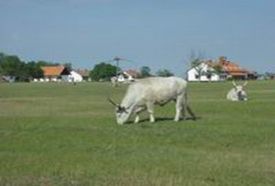 Körös-Maros Nemzeti Park Réhelyi Látogatóközpont