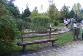 Irinyi Arborétum – 2. kép