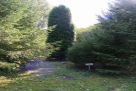 Irinyi Arborétum – 4. kép