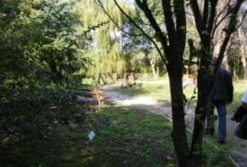Irinyi Arborétum – 5. kép