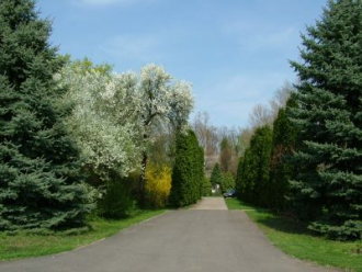 DE ATC Karcagi Kutatóintézet Arborétuma – 4. kép
