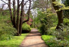Erdőteleki Arborétum