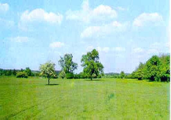 Fáspuszta