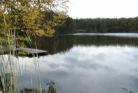 Boronka-melléki Tájvédelmi Körzet – 4. kép