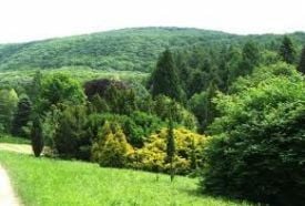 Agostyáni Arborétum – 4. kép