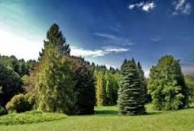 Agostyáni Arborétum – 5. kép