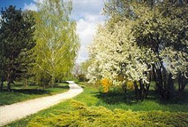 Bábolnai Arborétum – 2. kép
