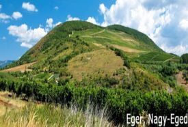 Nagy-egedi növénytársulás