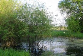 Nyíri Arborétum – 2. kép