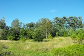 Nyíri Arborétum – 3. kép