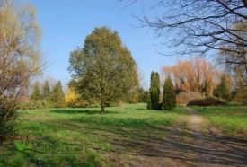 Petőházi Arborétum