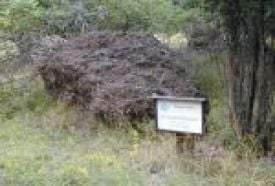 Somoskői kőpark – 2. kép