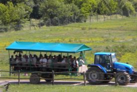 KE EC Vadgazdálkodási Tájközpont - Bőszénfai Szarvasfarm – 2. kép