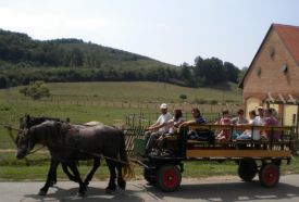 KE EC Vadgazdálkodási Tájközpont - Bőszénfai Szarvasfarm – 3. kép