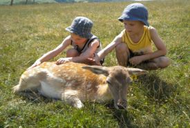 KE EC Vadgazdálkodási Tájközpont - Bőszénfai Szarvasfarm – 4. kép