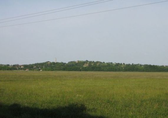 Szőlőhegy tanösvény
