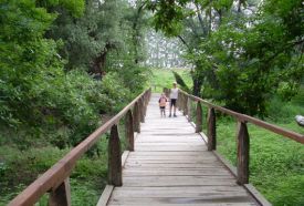 Tisza-parti Tanösvény – 3. kép
