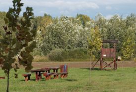 Szigetbecsei Tőzike tanösvény – 2. kép