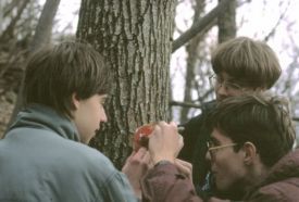 Telér Tanösvény – 2. kép