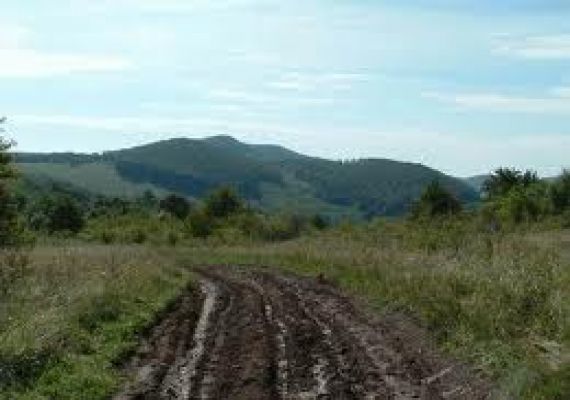 Zsidó-rét