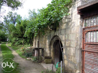 Szőlőhegy
