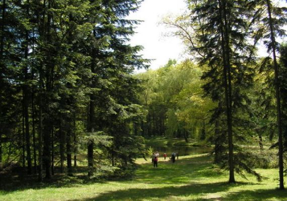 Budafai Arborétum