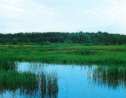 Kistápéi-láprét