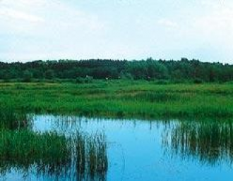 Kistápéi-láprét