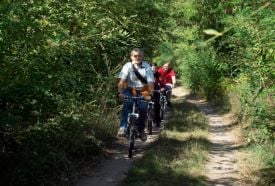 Hajta-mocsár Természetvédelmi Terület – 2. kép