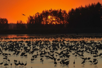 Hortobágyi Nemzeti Park Igazgatósága