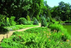 Csácsbozsoki Arborétum