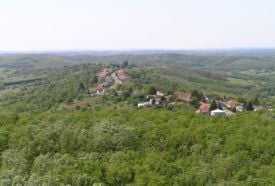 Alsóerdő