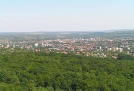Alsóerdő – 3. kép