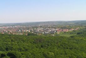 Alsóerdő – 4. kép