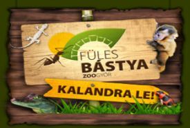 Fülesbástya