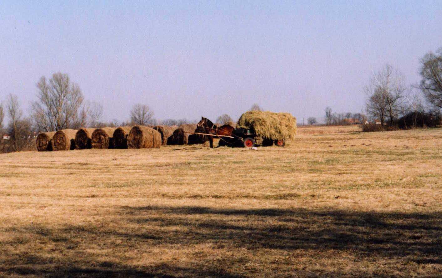 Mérgesi puszta