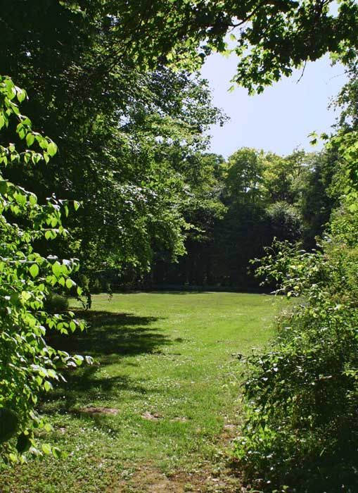 Batthyány-Montenuovo kastély park