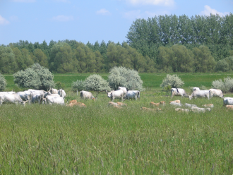 Vezetett ökotúrák – 2. kép