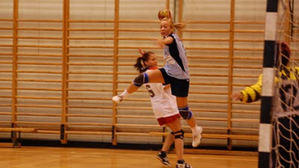Sportcsarnok, Domaszék