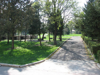 Városi Sportcsarnok – 5. kép