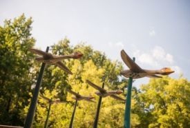 Nagyerdei Park és Békás-tó – 4. kép
